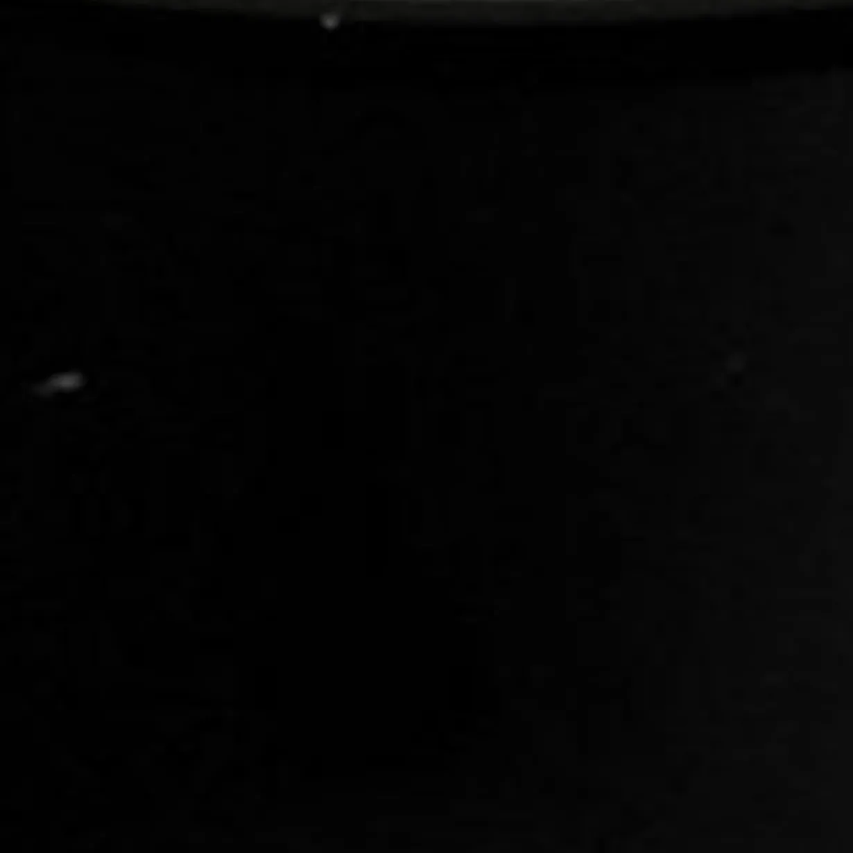 OVALE SONNENBRILLE